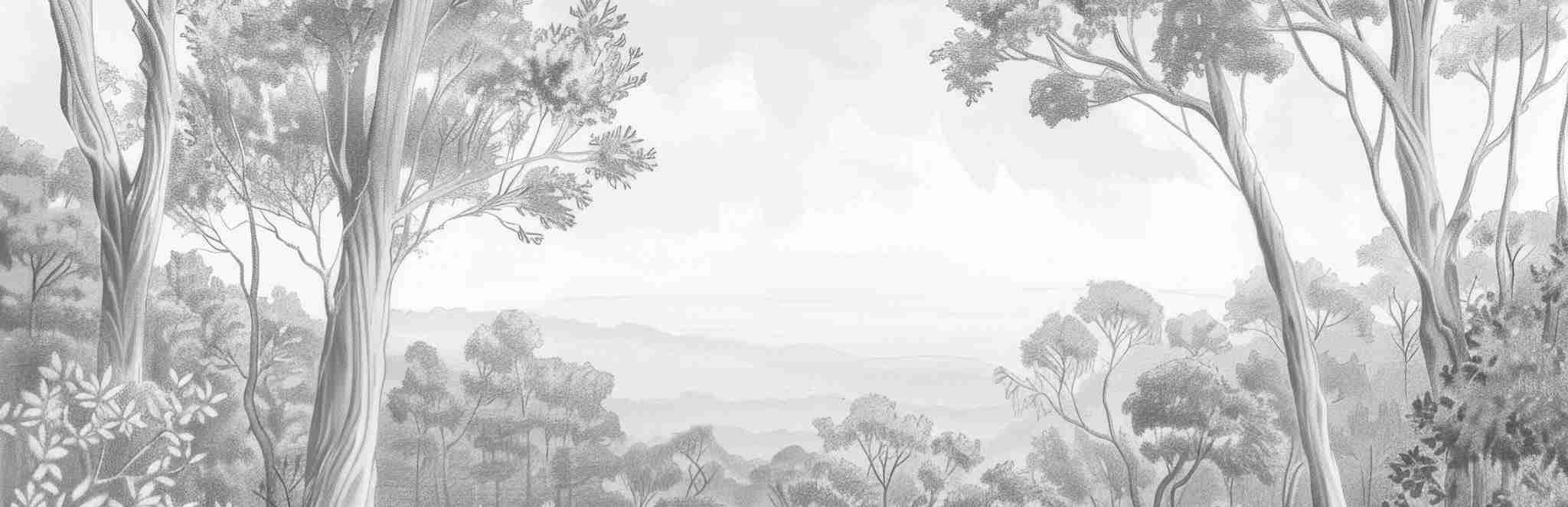 Nature intemporelle - Paysage en noir et blanc