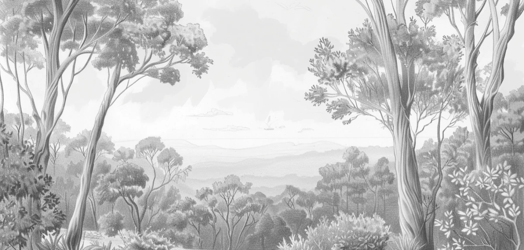 Nature intemporelle - Paysage en noir et blanc - Illulart: Papier peint panoramique