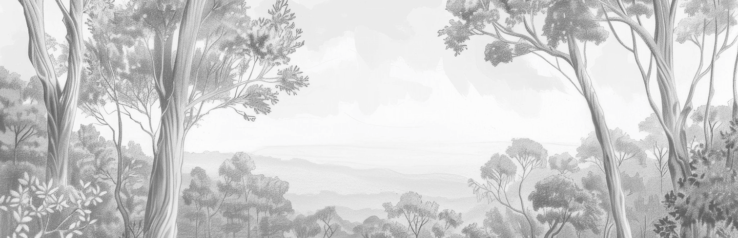 Nature intemporelle - Paysage en noir et blanc - Illulart: Papier peint panoramique