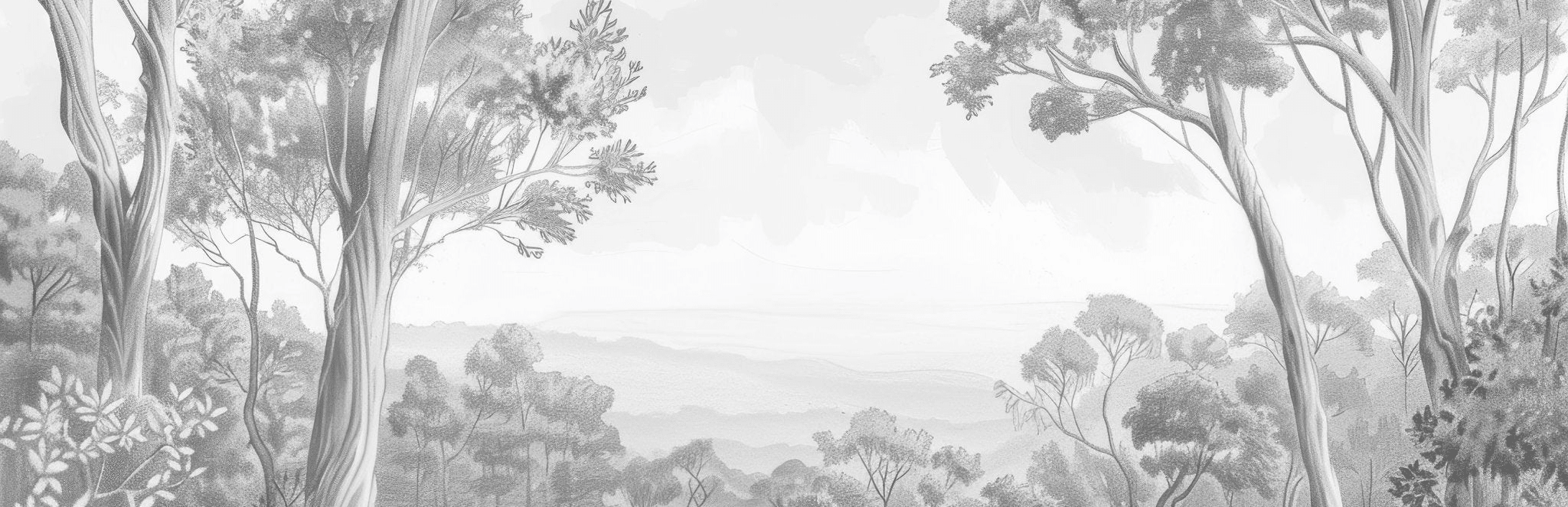 Nature intemporelle - Paysage en noir et blanc
