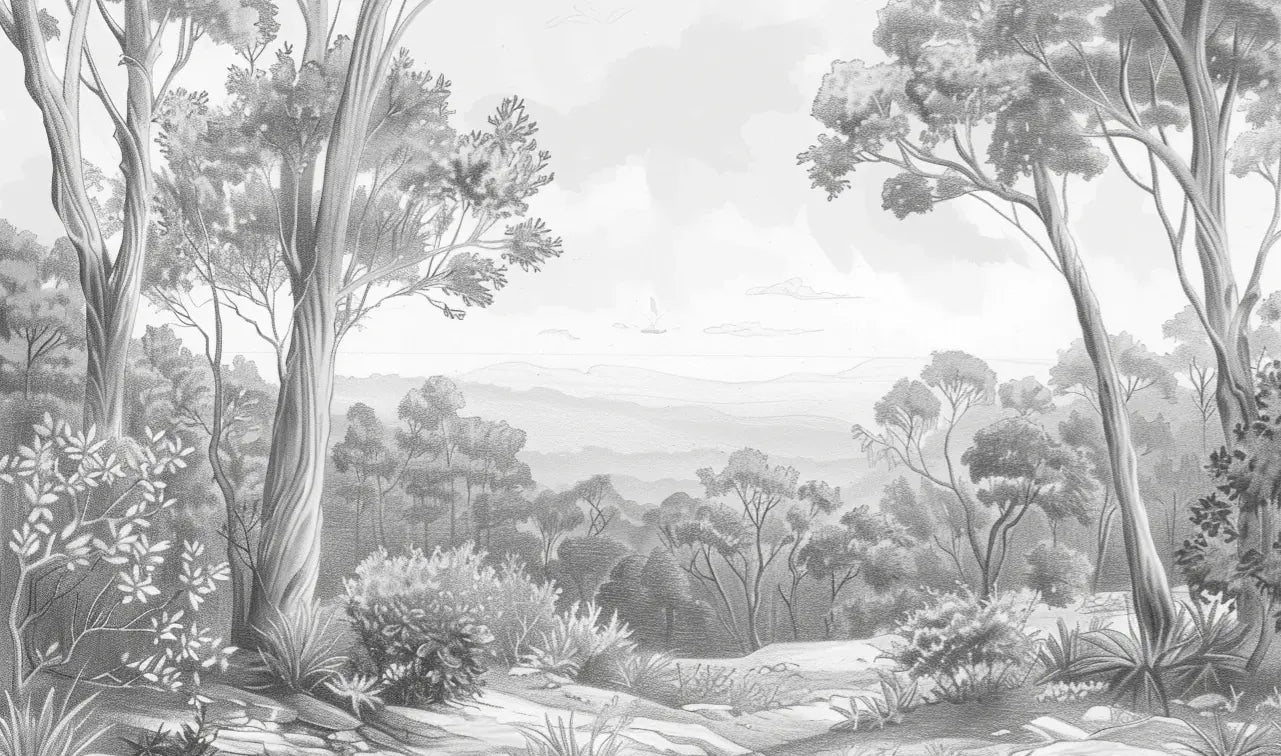 Nature intemporelle - Paysage en noir et blanc