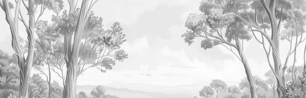 Nature intemporelle - Paysage en noir et blanc - Illulart: Papier peint panoramique