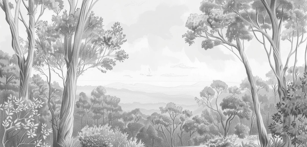 Nature intemporelle - Paysage en noir et blanc - Illulart: Papier peint panoramique