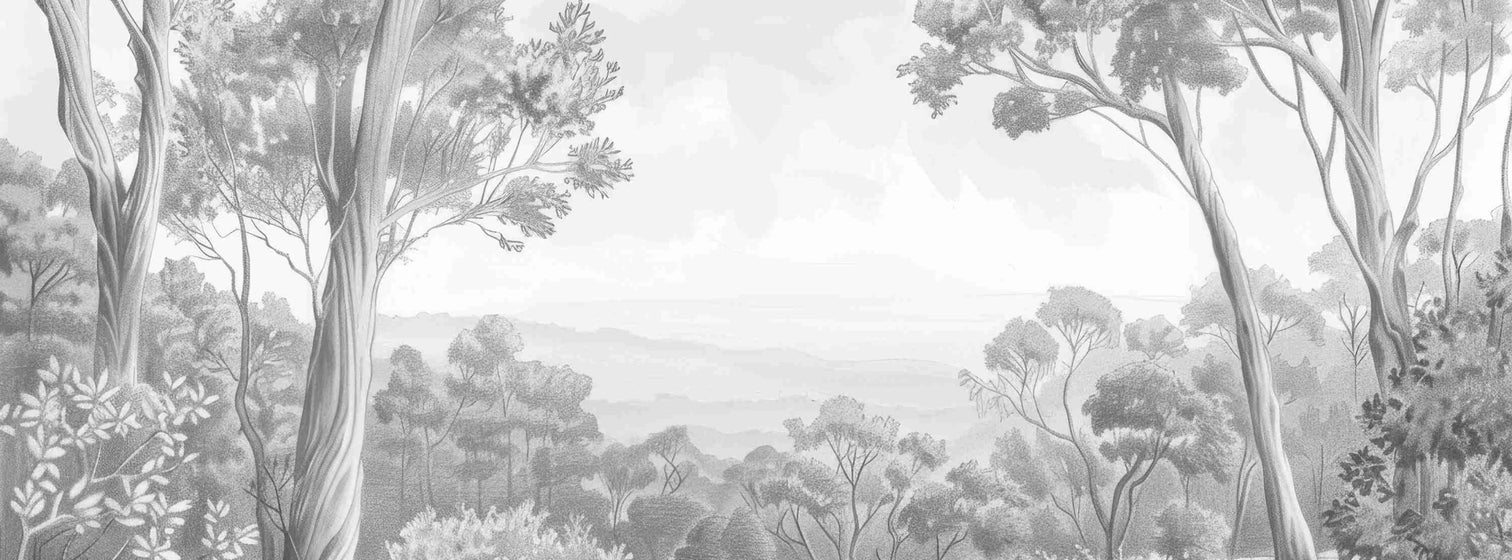 Nature intemporelle - Paysage en noir et blanc - Illulart: Papier peint panoramique