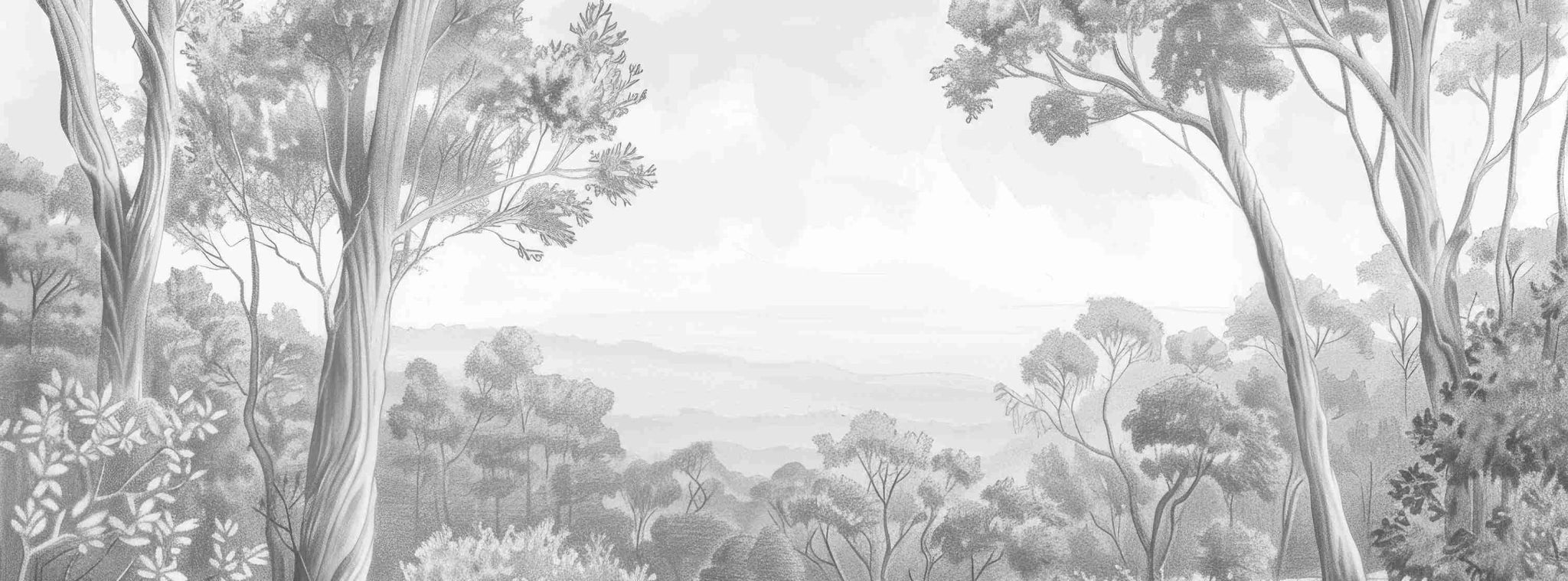 Nature intemporelle - Paysage en noir et blanc