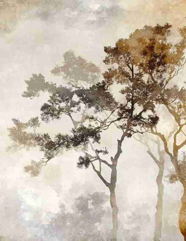 Ombres Forestières - Papier Peint Panoramique Brun Doré - Illulart: Papier peint panoramique