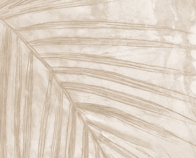 Palmier Nude – Papier peint palmier beige aux nuances chaleureuses - Illulart: Papier peint panoramique