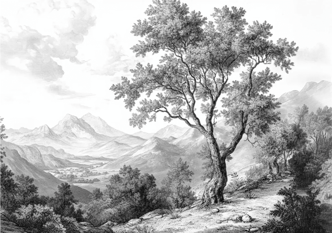 Panorama Intemporel - Nature en Noir et Blanc - Illulart: Papier peint panoramique