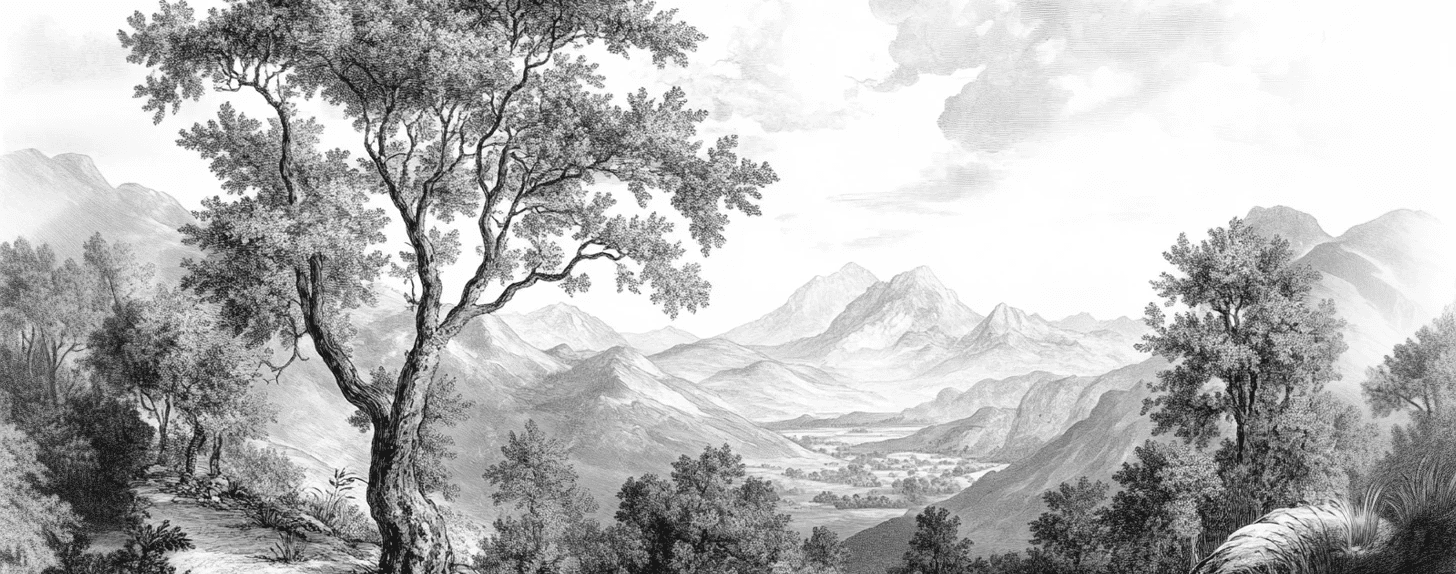 Panorama Intemporel - Nature en Noir et Blanc