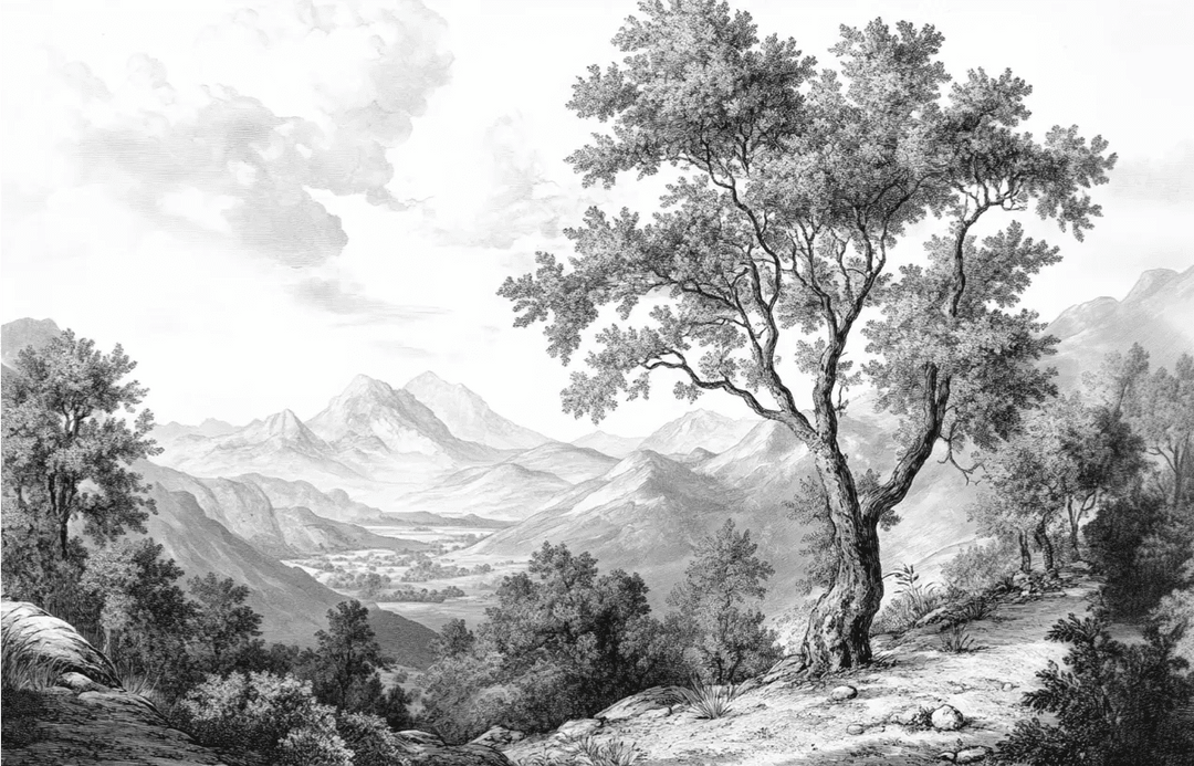 Panorama Intemporel - Nature en Noir et Blanc - Illulart: Papier peint panoramique