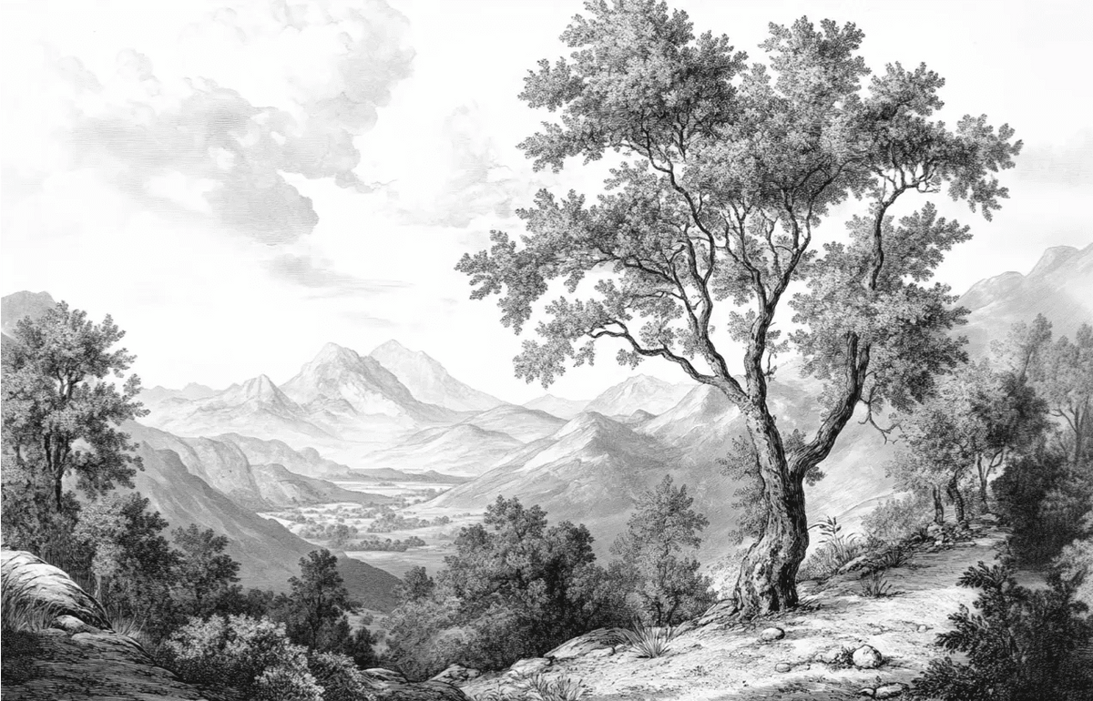 Panorama Intemporel - Nature en Noir et Blanc - Illulart: Papier peint panoramique