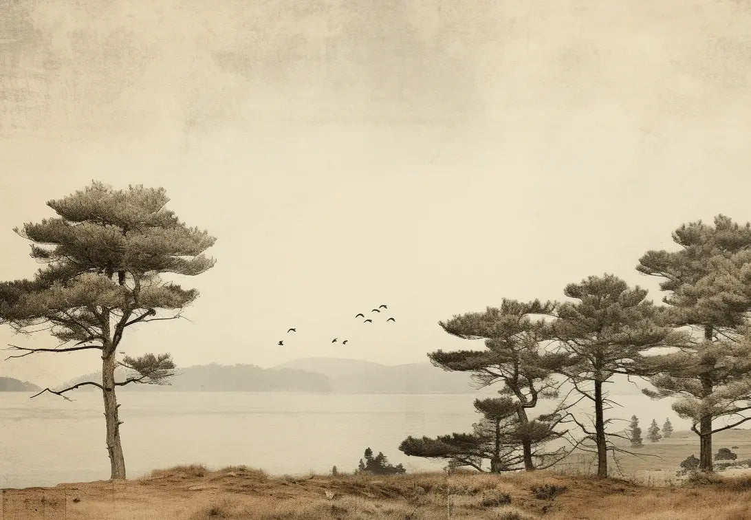 Paysage de Pins Sépia - Illulart: Papier peint panoramique