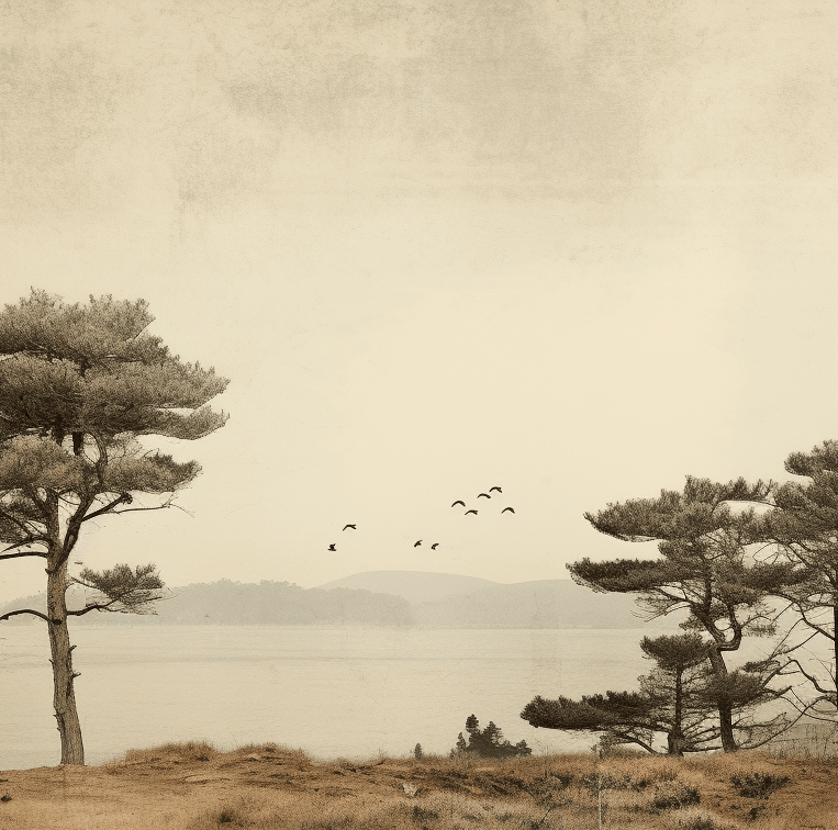 Paysage de Pins Sépia - Illulart: Papier peint panoramique