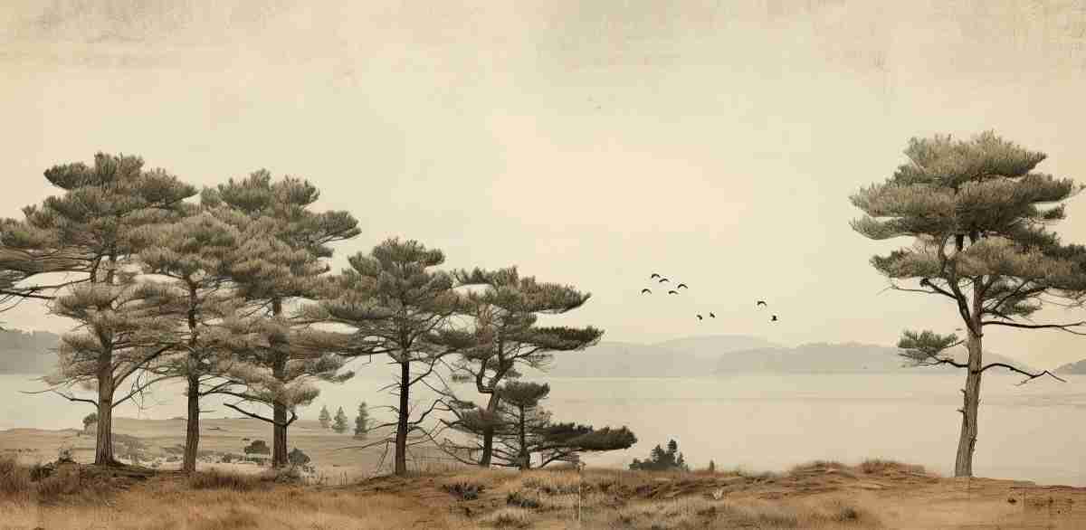 Paysage de Pins Sépia - Illulart: Papier peint panoramique