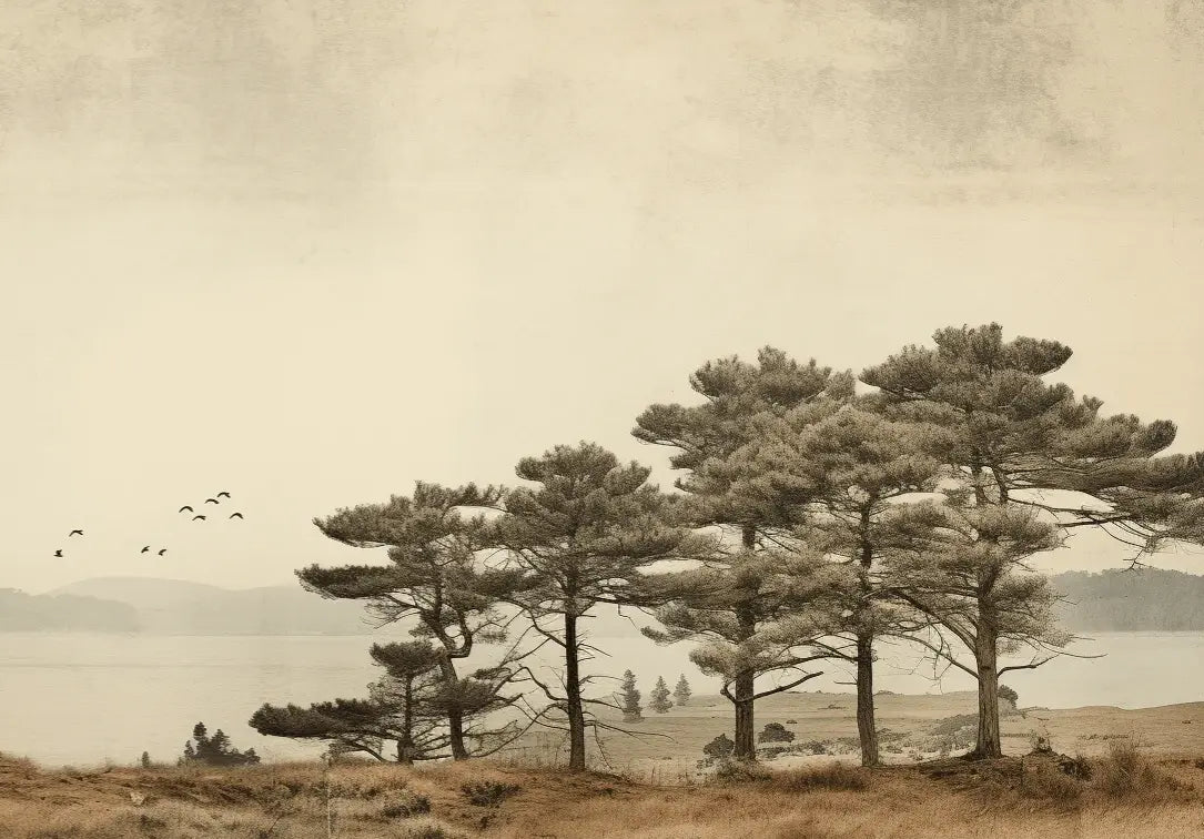 Paysage de Pins Sépia - Illulart: Papier peint panoramique