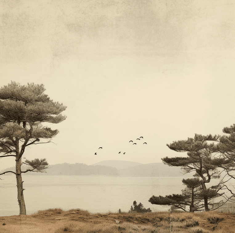 Paysage de Pins Sépia - Illulart: Papier peint panoramique
