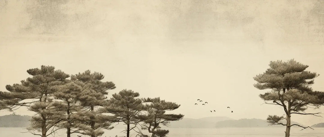 Paysage de Pins Sépia - Illulart: Papier peint panoramique