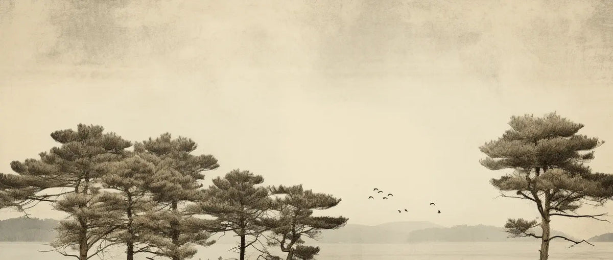 Paysage de Pins Sépia - Illulart: Papier peint panoramique