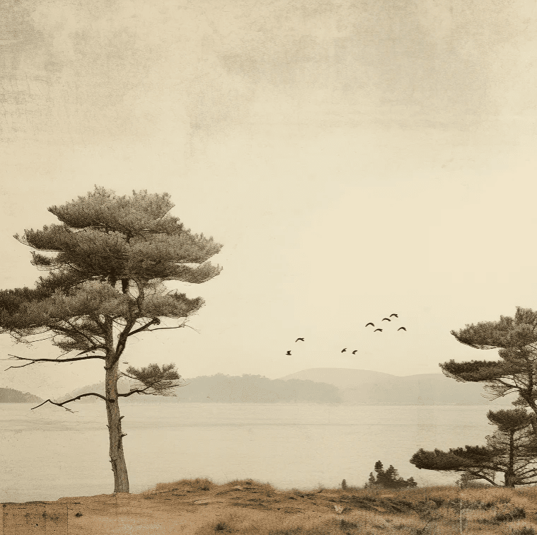 Paysage de Pins Sépia - Illulart: Papier peint panoramique