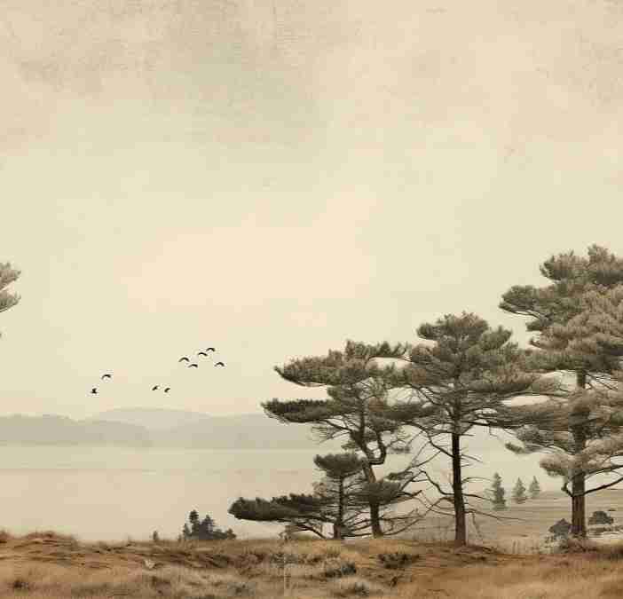 Paysage de Pins Sépia - Illulart: Papier peint panoramique