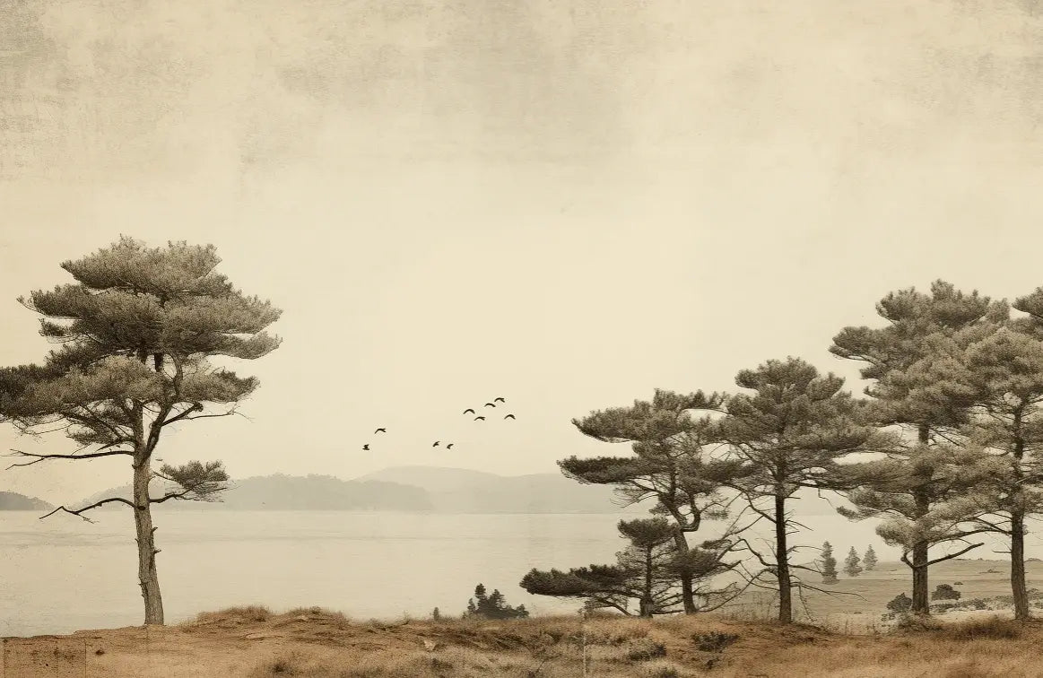 Paysage de Pins Sépia