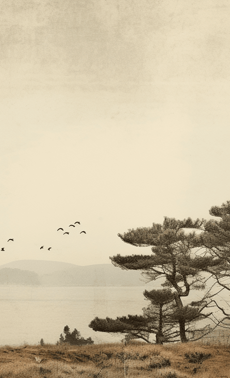 Paysage de Pins Sépia - Illulart: Papier peint panoramique
