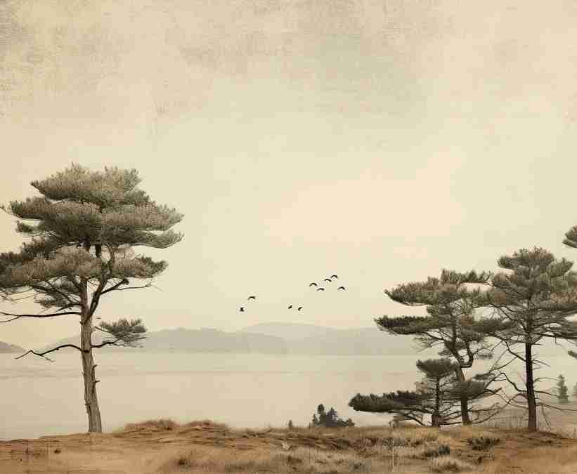 Paysage de Pins Sépia - Illulart: Papier peint panoramique