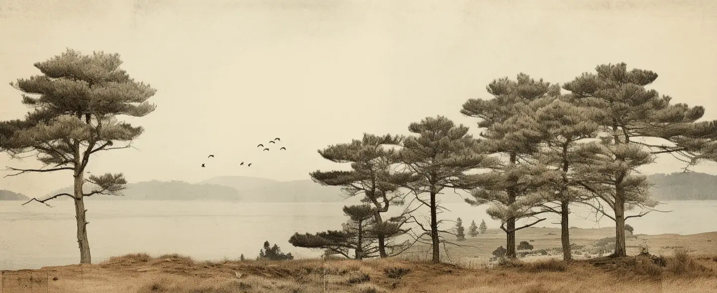 Paysage de Pins Sépia - Illulart: Papier peint panoramique