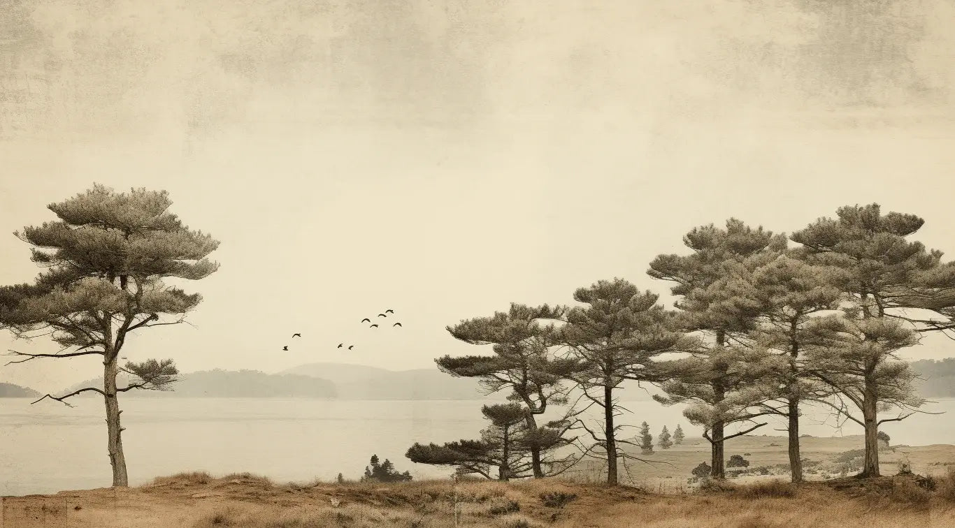 Paysage de Pins Sépia - Illulart: Papier peint panoramique