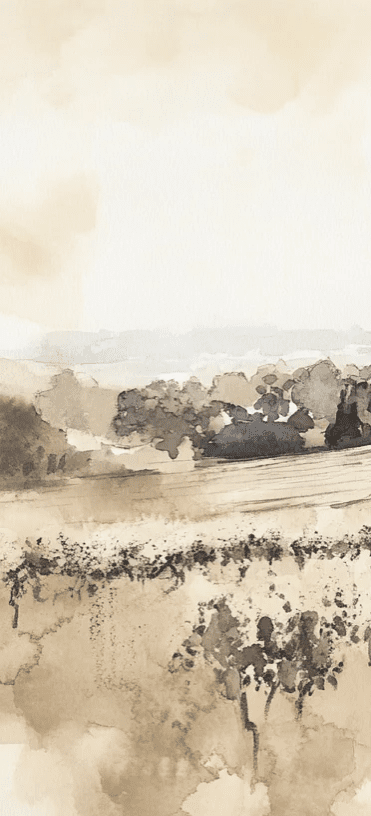 Paysage de Vignoble - Aquarelle Panoramique en Teintes Beiges - Illulart: Papier peint panoramique