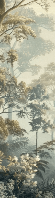 Paysage Forestier Brumeux - Papier Peint Panoramique Enchanté - Illulart: Papier peint panoramique