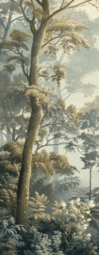 Paysage Forestier Brumeux - Papier Peint Panoramique Enchanté - Illulart: Papier peint panoramique