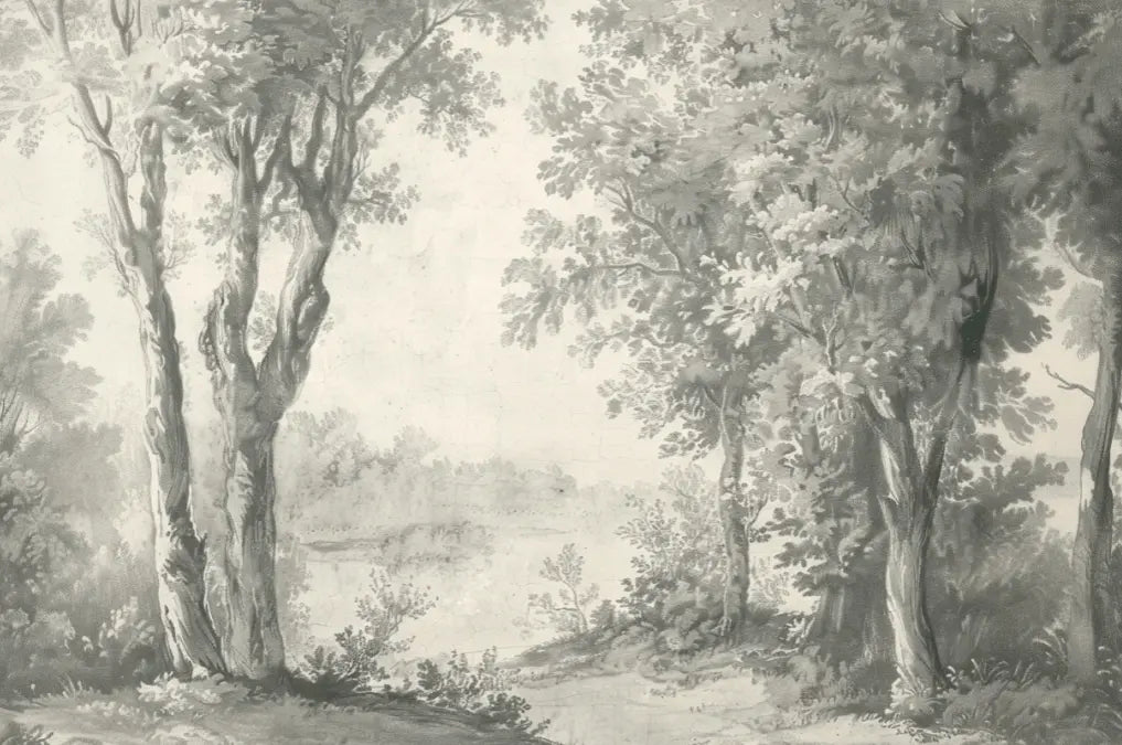 Poésie anglaise : Forêt classique - Illulart: Papier peint panoramique