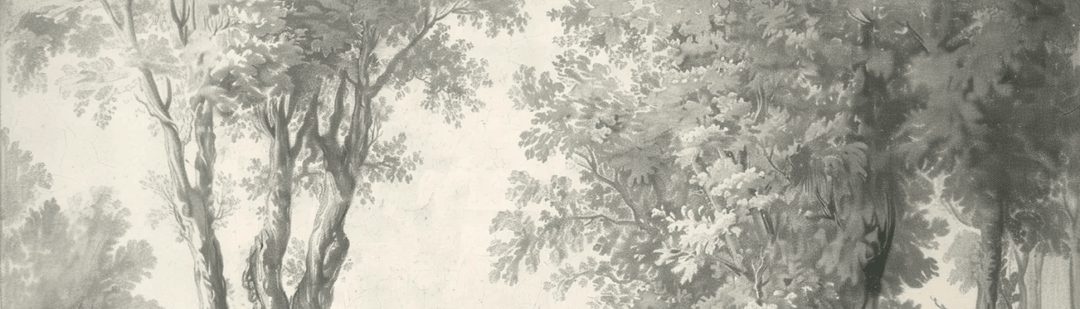 Poésie anglaise : Forêt classique - Illulart: Papier peint panoramique