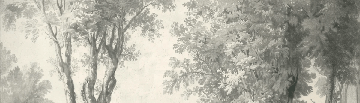 Poésie anglaise : Forêt classique - Illulart: Papier peint panoramique