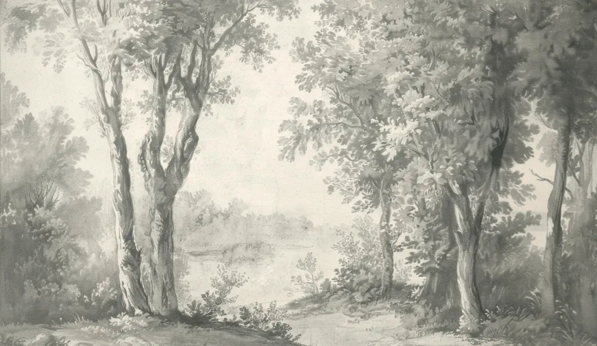 Poésie anglaise : Forêt classique - Illulart: Papier peint panoramique