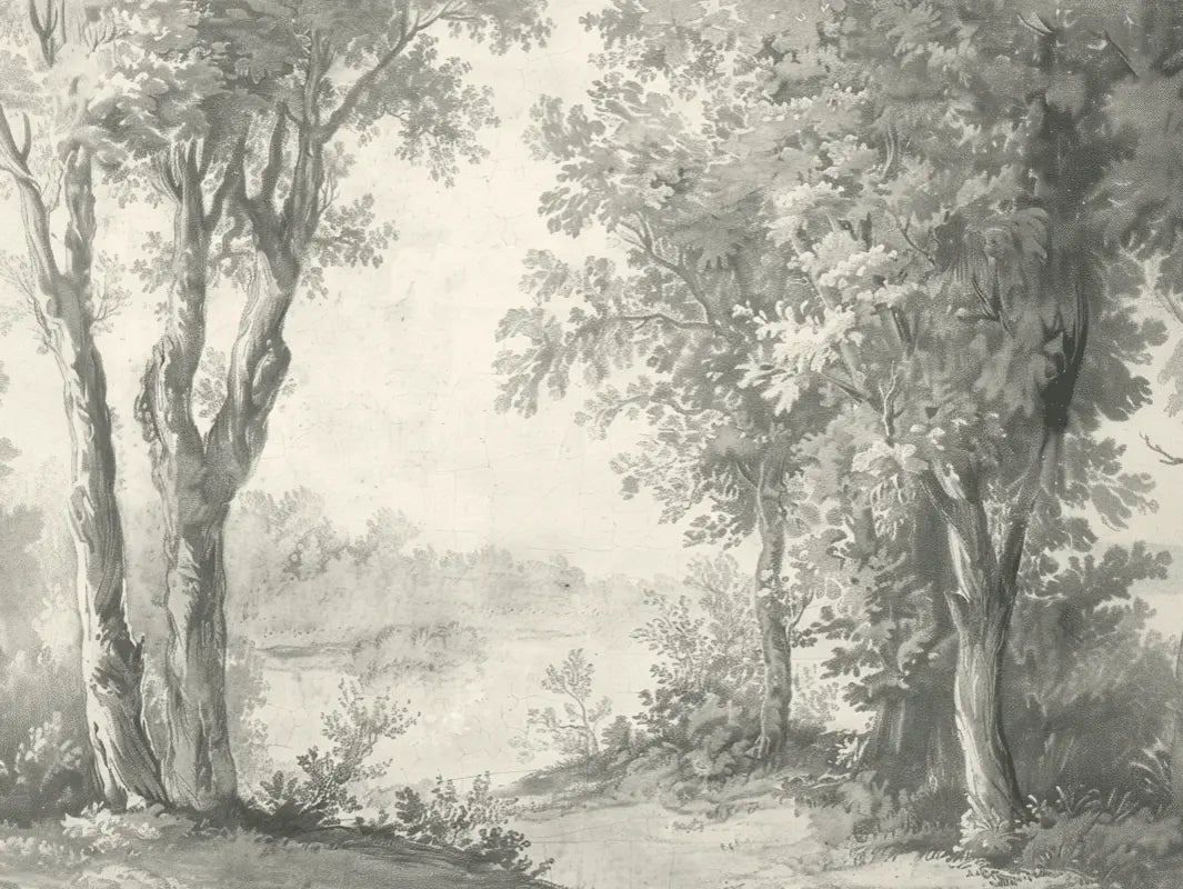 Poésie anglaise : Papier peint forêt classique