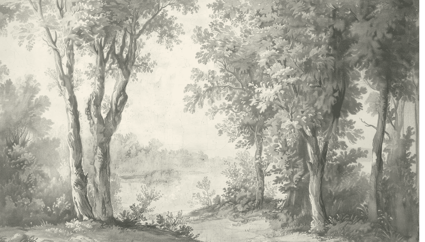 Poésie anglaise : Papier peint forêt classique - Illulart: Papier peint panoramique