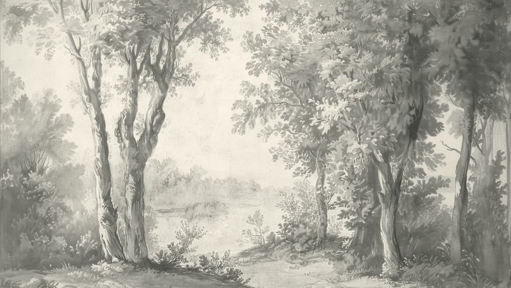 Poésie anglaise : Papier peint forêt classique - Illulart: Papier peint panoramique