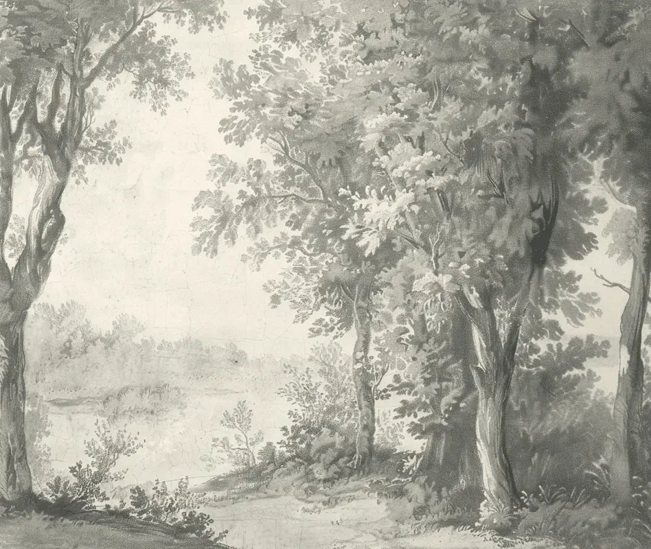 Poésie anglaise : Papier peint forêt classique - Illulart: Papier peint panoramique