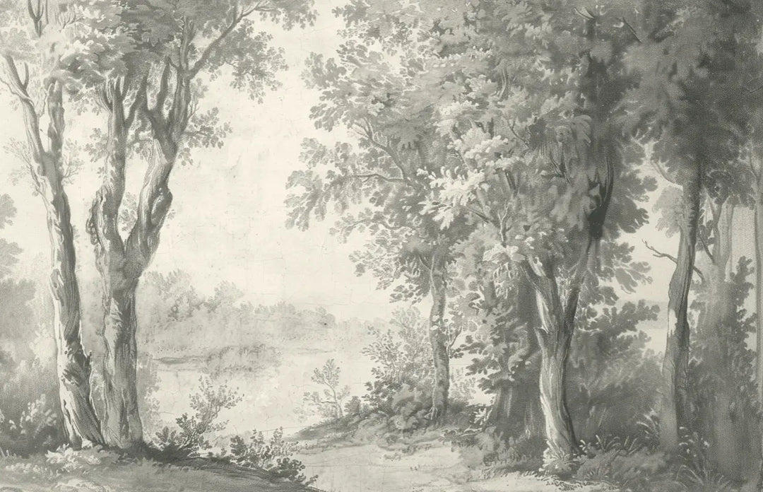 Poésie anglaise : Papier peint forêt classique - Illulart: Papier peint panoramique