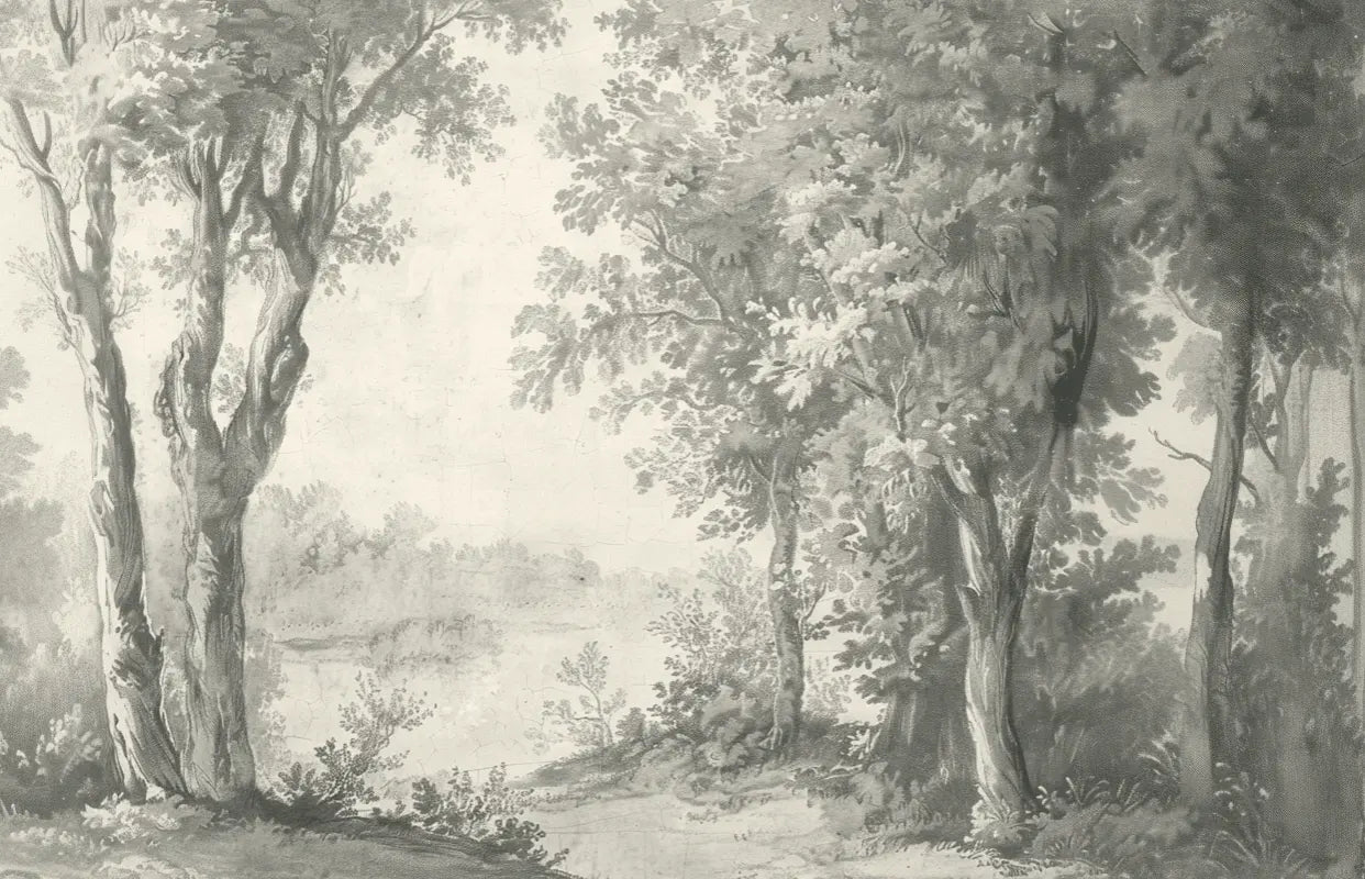 Poésie anglaise : Papier peint forêt classique - Illulart: Papier peint panoramique