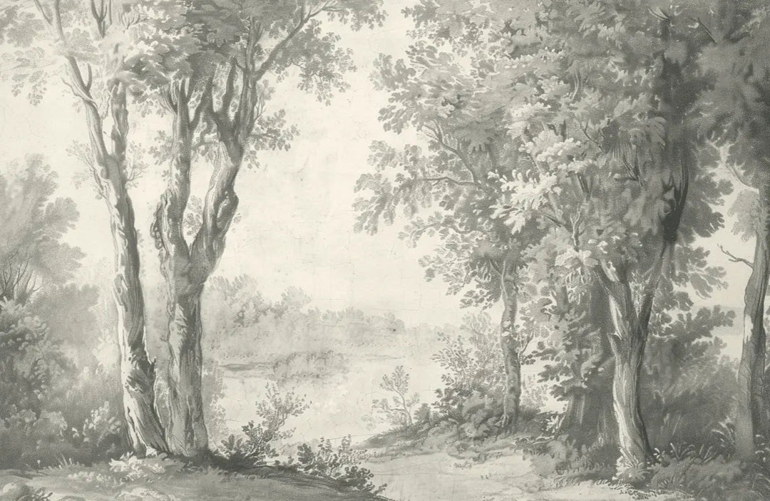 Poésie anglaise : Papier peint forêt classique - Illulart: Papier peint panoramique