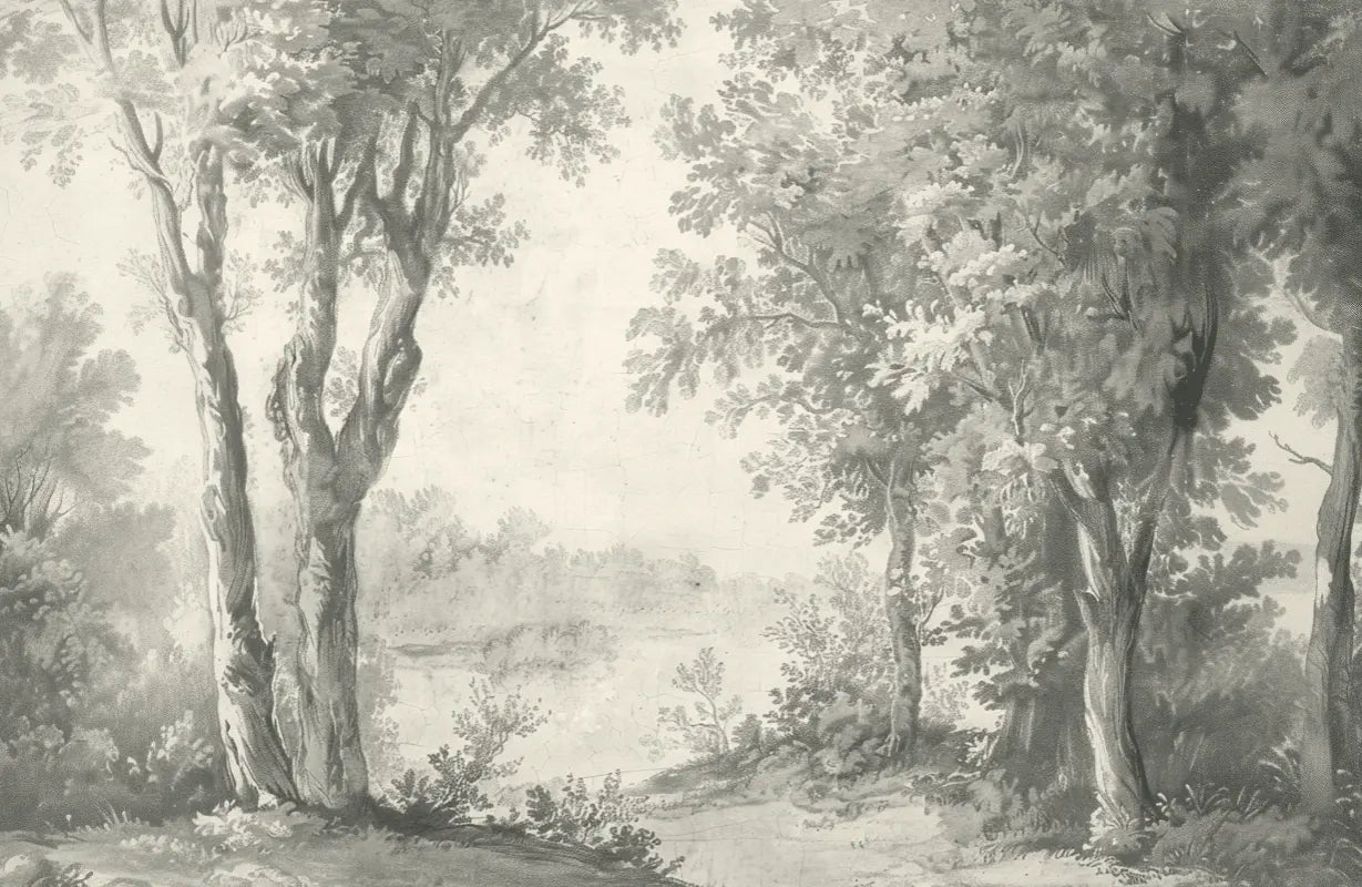 Poésie anglaise : Papier peint forêt classique - Illulart: Papier peint panoramique