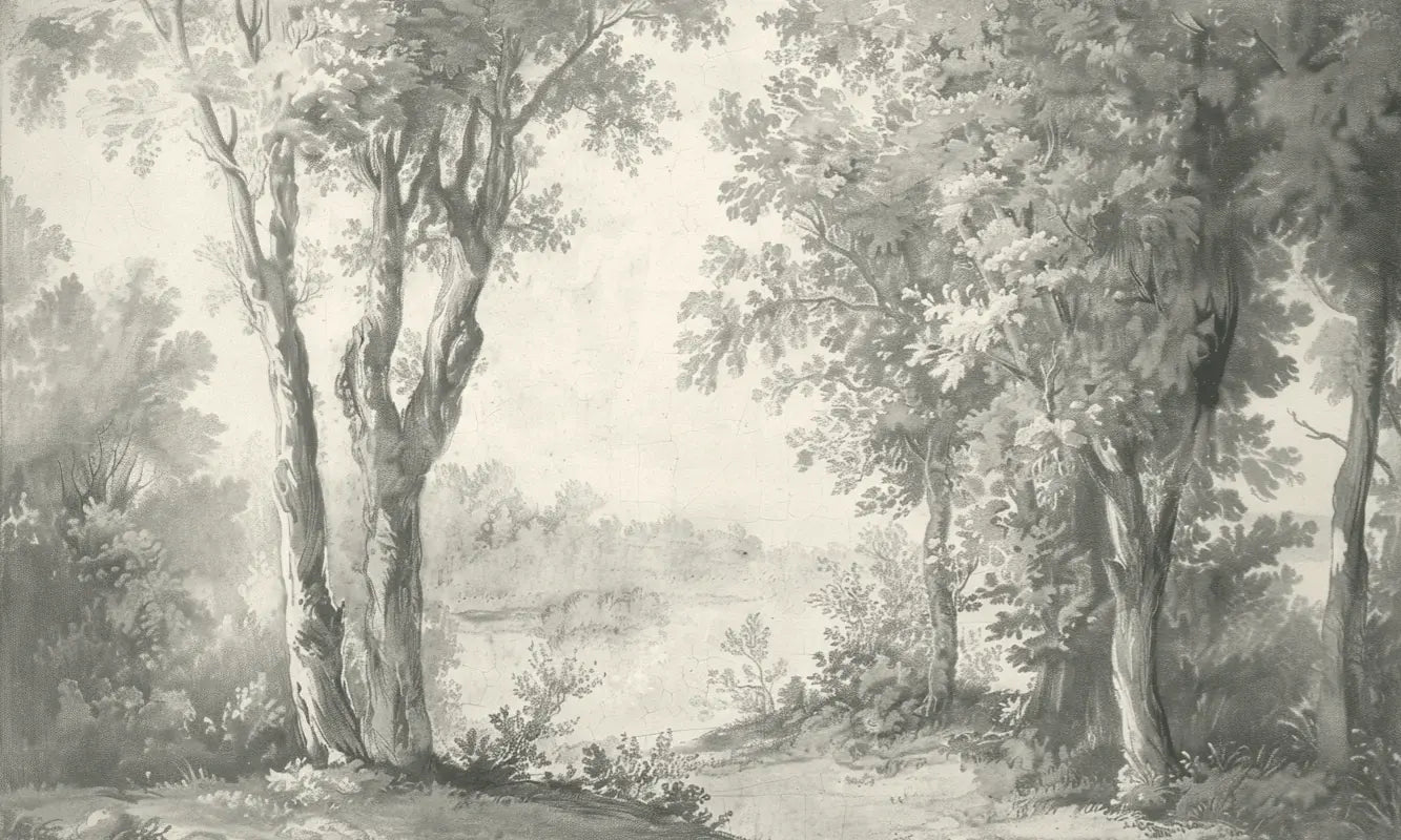 Poésie anglaise : Papier peint forêt classique - Illulart: Papier peint panoramique