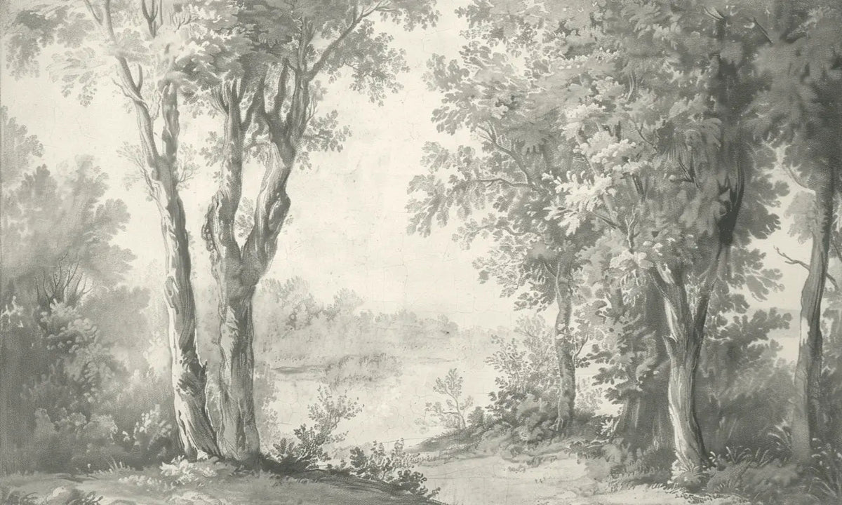 Poésie anglaise : Papier peint forêt classique - Illulart: Papier peint panoramique