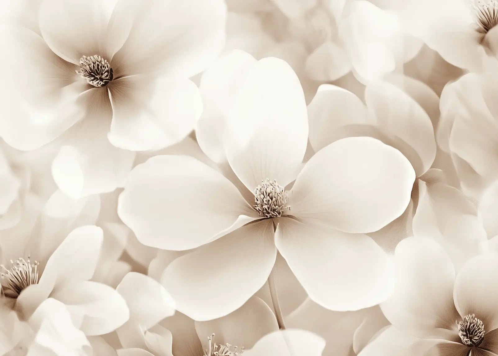 Poésie Florale : Un Papier Peint au Charme Discret