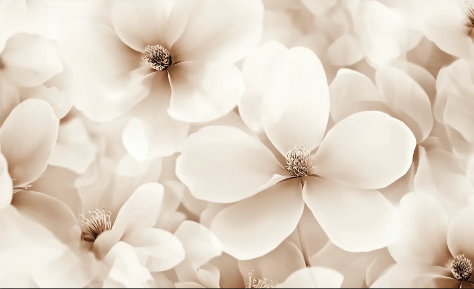 Poésie Florale : Un Papier Peint au Charme Discret - Illulart: Papier peint panoramique