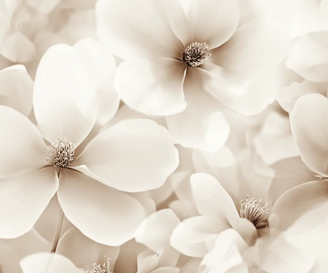Poésie Florale : Un Papier Peint au Charme Discret - Illulart: Papier peint panoramique