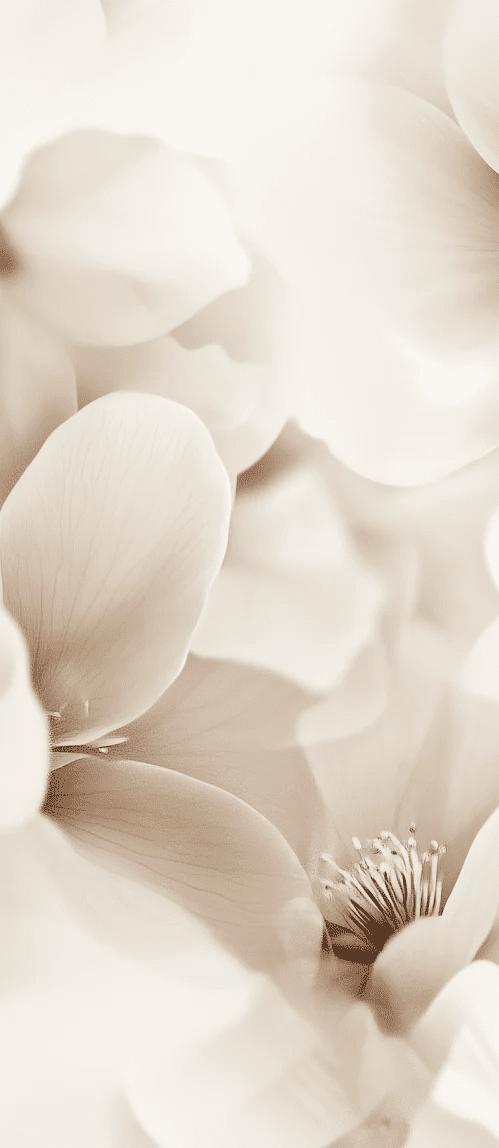 Poésie Florale : Un Papier Peint au Charme Discret - Illulart: Papier peint panoramique